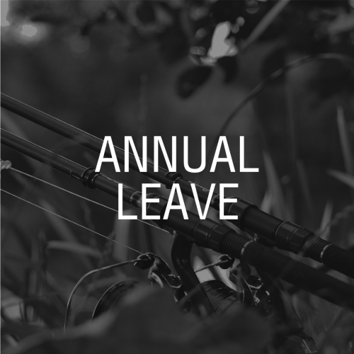 BANK BUG | ANNUAL LEAVE 2025